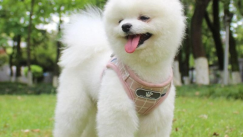 农村冷冻库通风规范要求解析